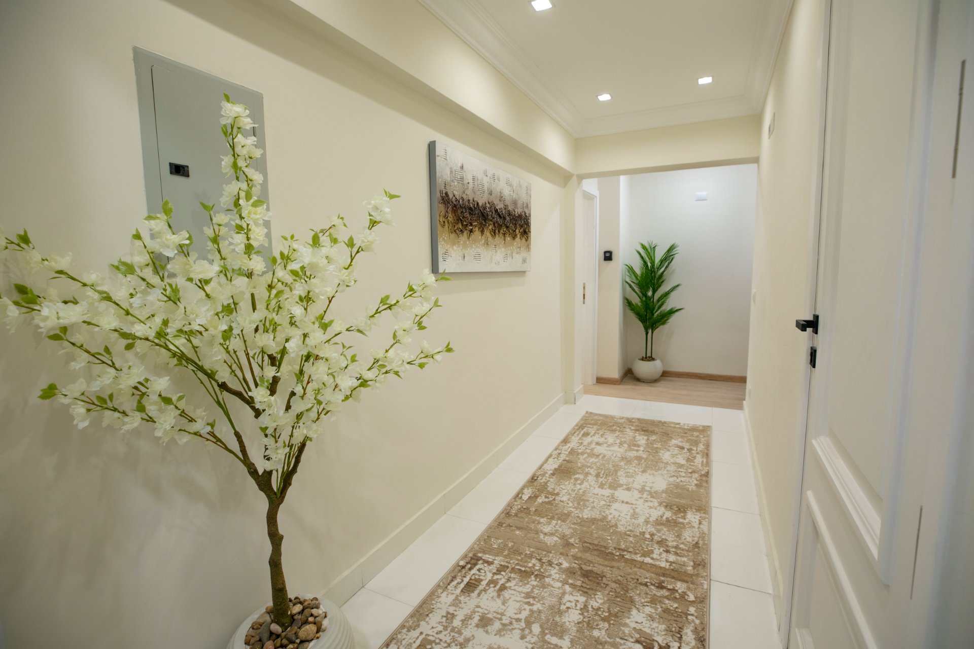 One-Bedroom Unit in Rehab City view 4