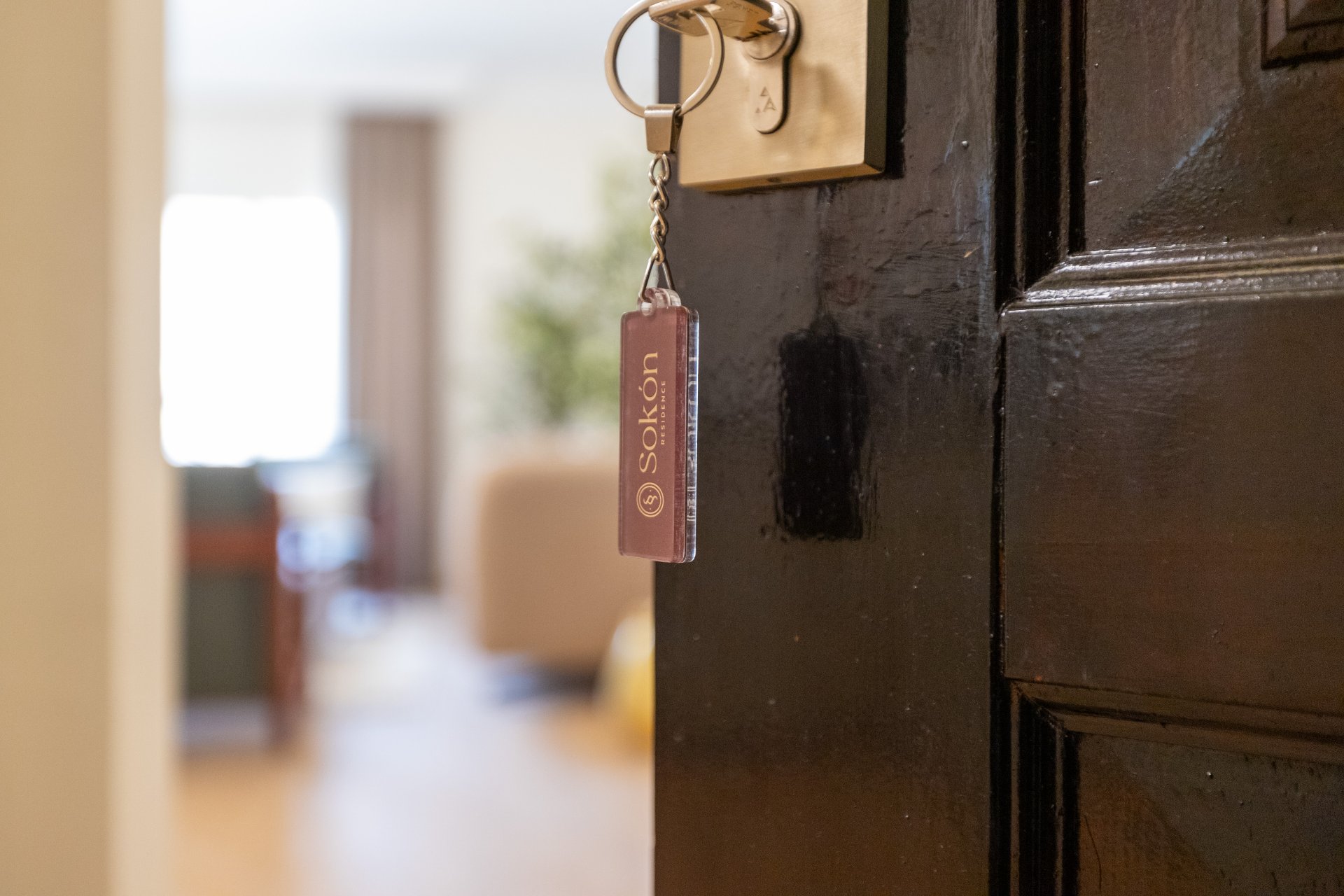 2BR Rehab U43 - Velvet view 2